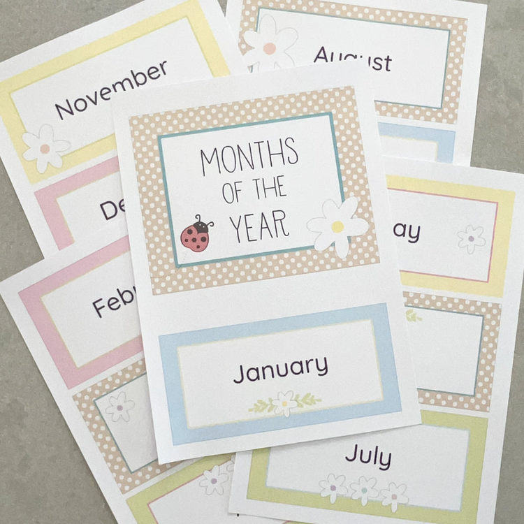 Educational resources that show the months of the year decorated with flowers and pastels and a little ladybug. They are displayed on a grey background.
