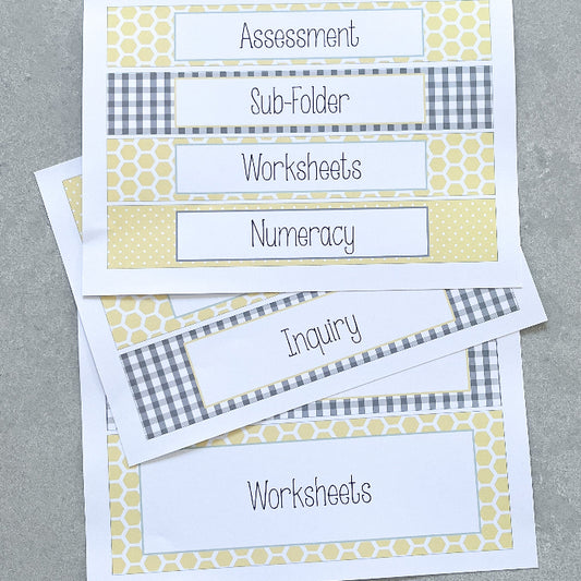 Set of labeled folders with assessment, sub-folder, worksheets, and other categories on a grey background.