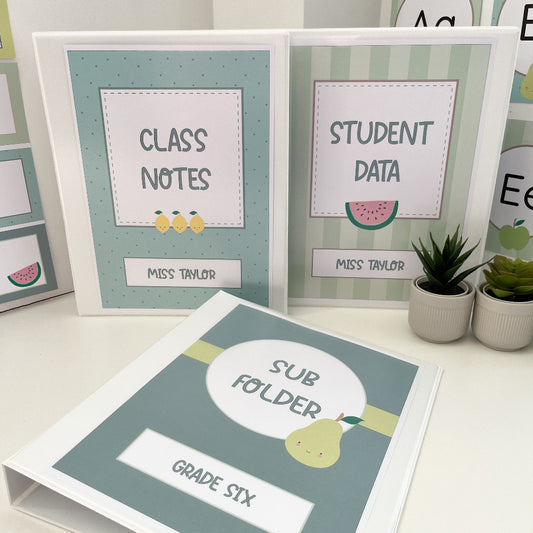 Educational folders with labels for class notes, student data, and sub folder on a white surface.