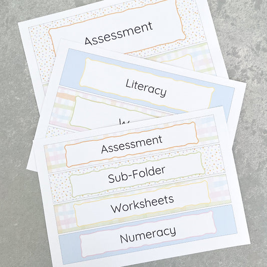 Pastel coloured ssessment folder labels on a grey surface.