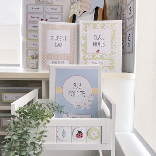 Educational file folders on a white shelf with a plant in the foreground