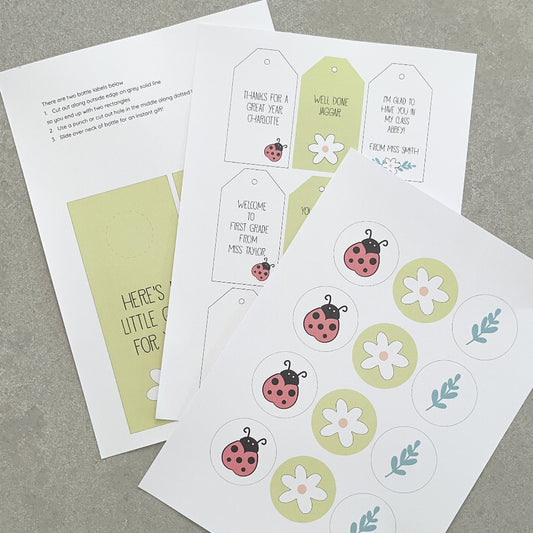 Set of educational materials with ladybug and flower designs on a grey background