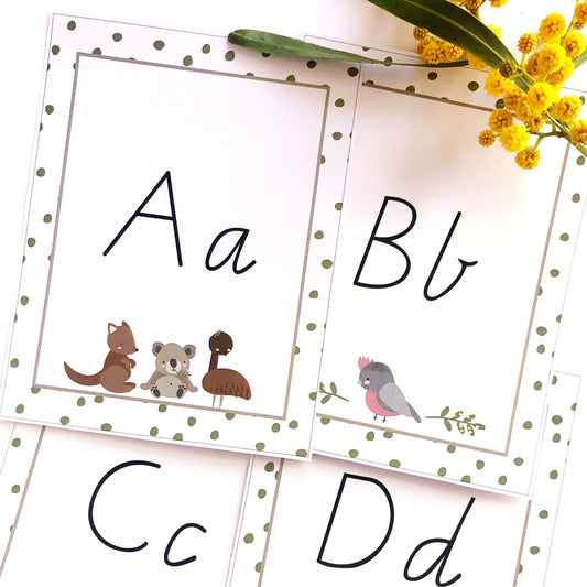 Cute Australian Animals and graphics on an Alphabet card on white background. There is wattle next to the labels.