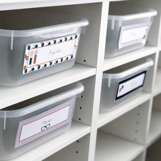 Clear plastic storage containers with labels and science-related decor items placed on a white shelf, indicating the content is educational and classroom-related.