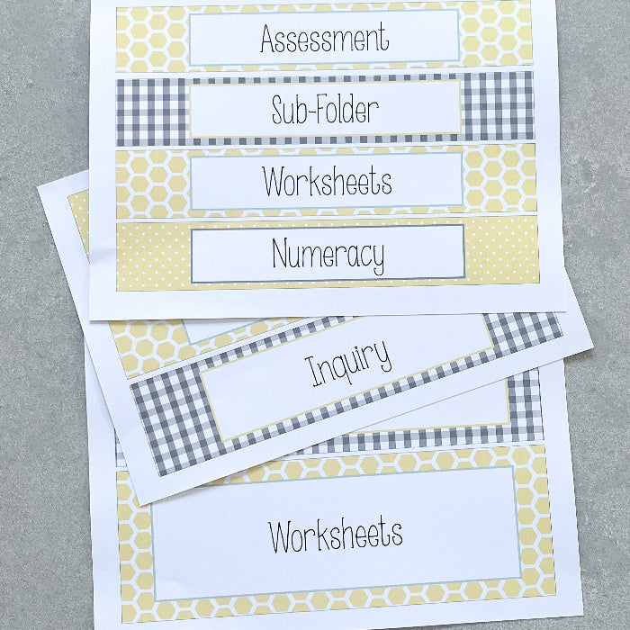 Set of labeled folders with assessment, sub-folder, worksheets, and other categories on a grey background.