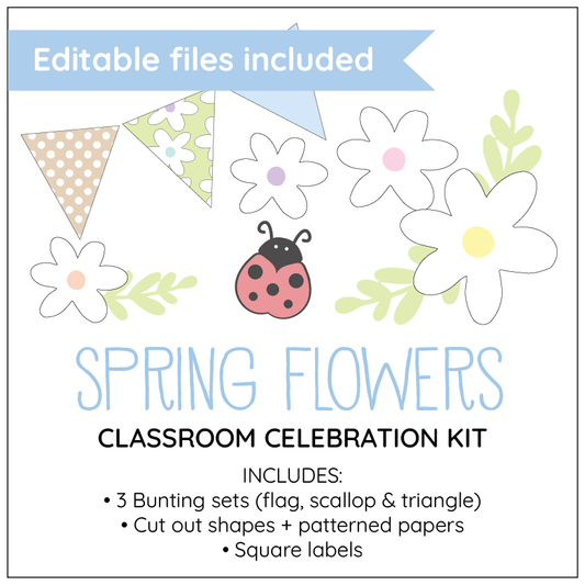 Spring-themed classroom celebration kit with flowers, bunting, and ladybug on a white background.